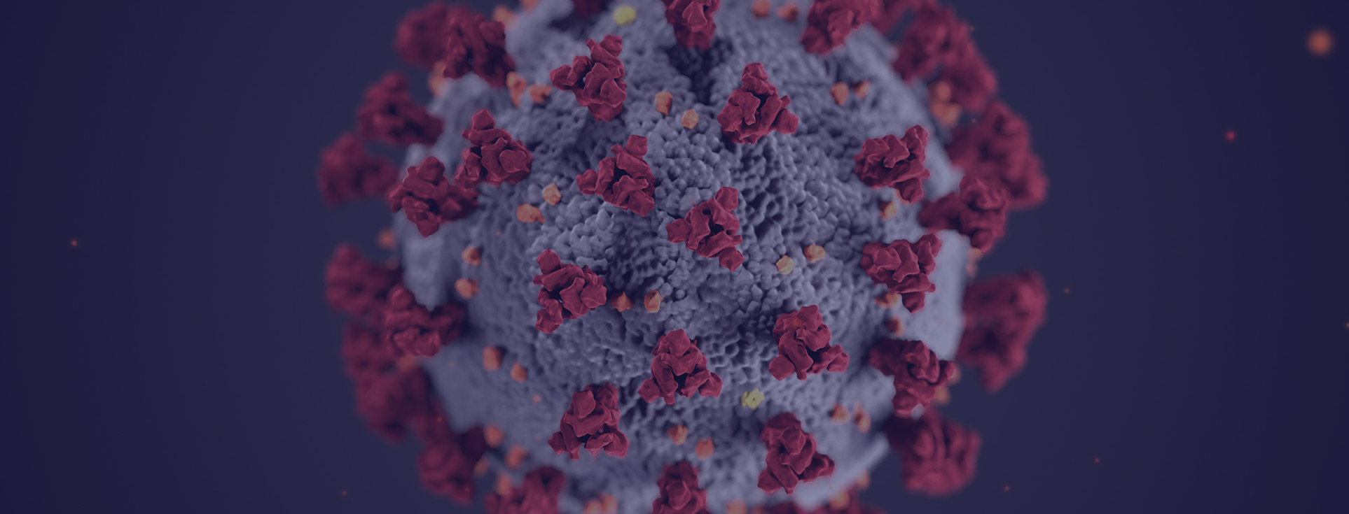 Covid Virus